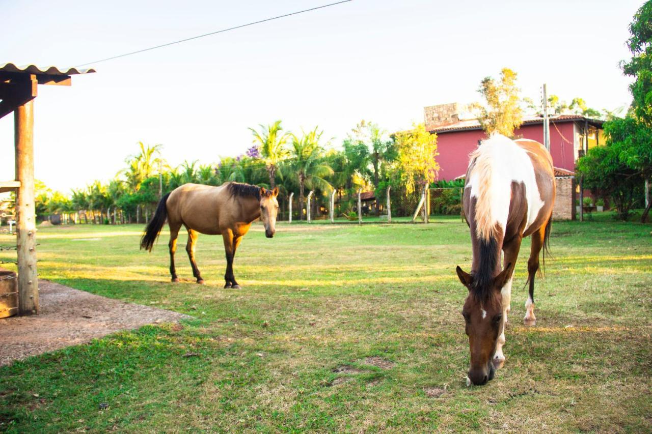 Fazenda-pousada Tropical Vereda Farm stay *